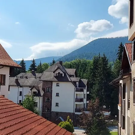 Lejlighed Ski&spa - Semiramida Garden A16