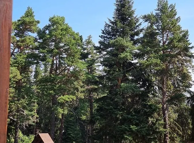 Ski&spa - Semiramida Garden A16 Apartament